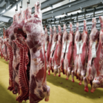 Screenshot 2026-03-24 005733