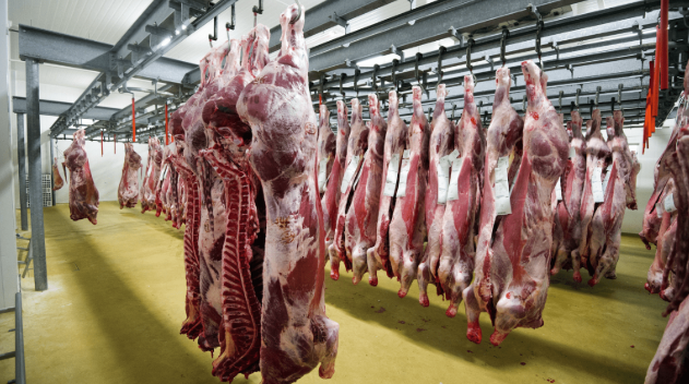 Screenshot 2026-03-24 005733