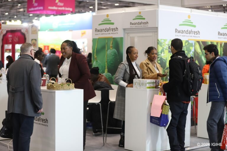 WhatsApp-Image-2026-03-31-at-11.01.24-AM