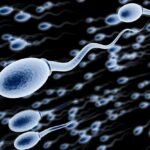 gettyimages-136207690-20250304203654409